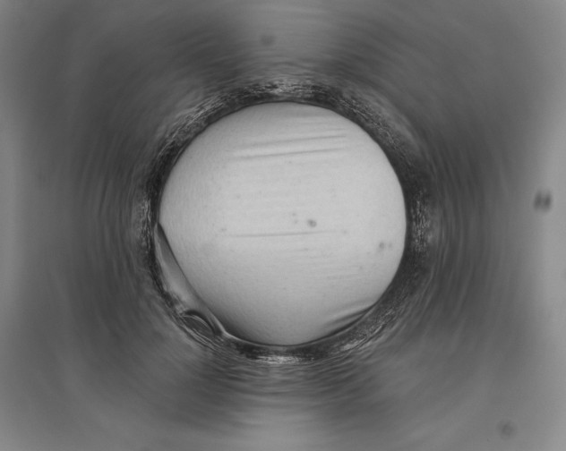 X0000096630748200802261204