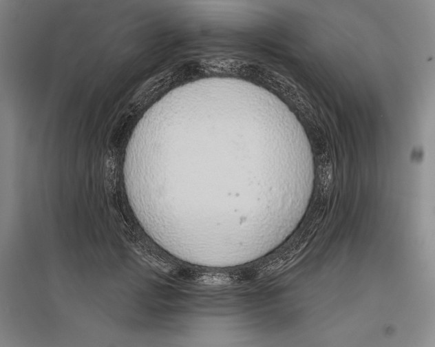 X0000096630749200802261204