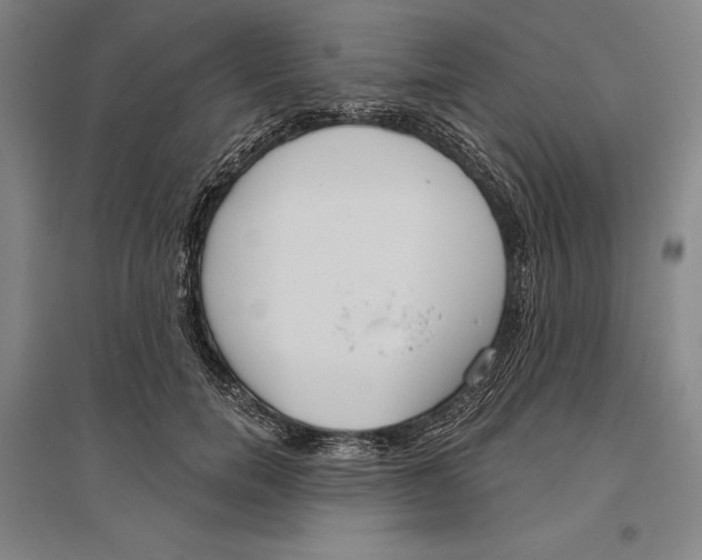 X0000096630750200802261204