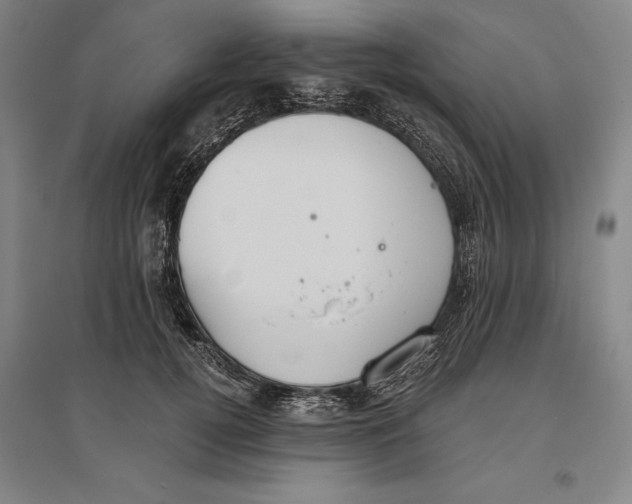 X0000096630752200802261204