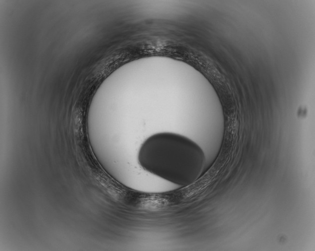 X0000096630754200802261204