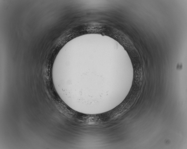 X0000096630755200802261204