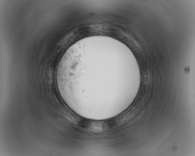 X0000096630757200802261204