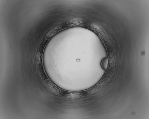 X0000096630758200802261204