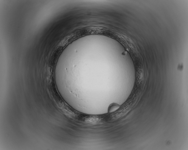 X0000096630759200802261204