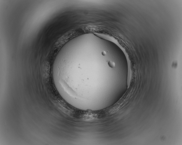 X0000096630760200802261204