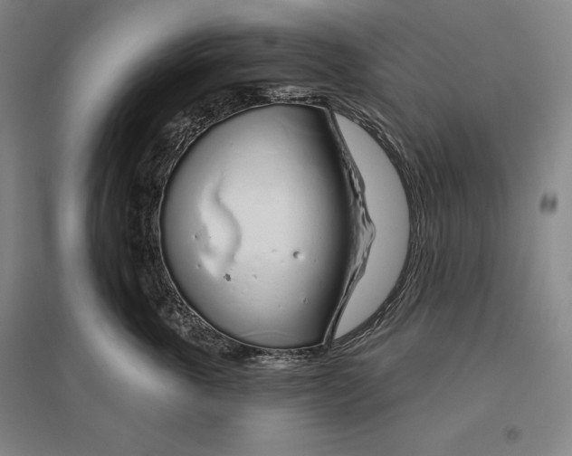 X0000096630763200802261204