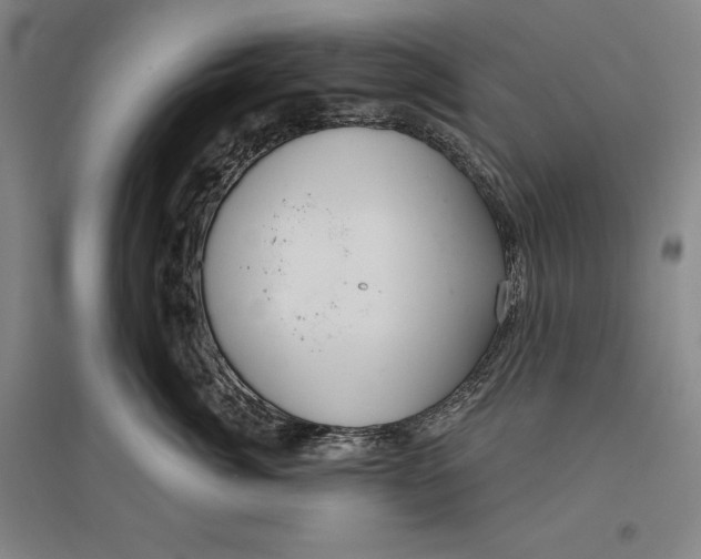 X0000096630764200802261204