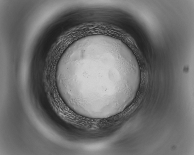 X0000096630765200802261204