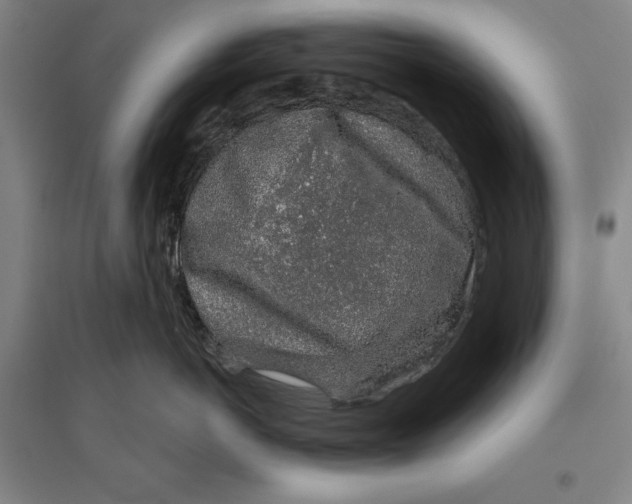 X0000096630766200802261204