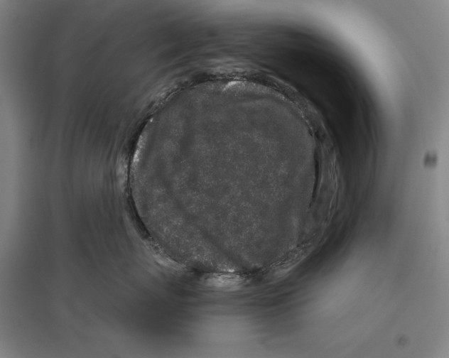 X0000096630767200802261204