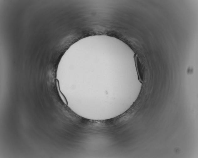 X0000096630768200802261204