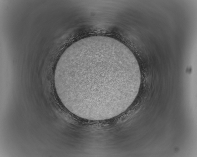X0000096630769200802261203