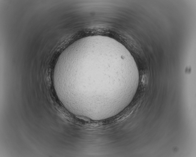 X0000096630771200802261203