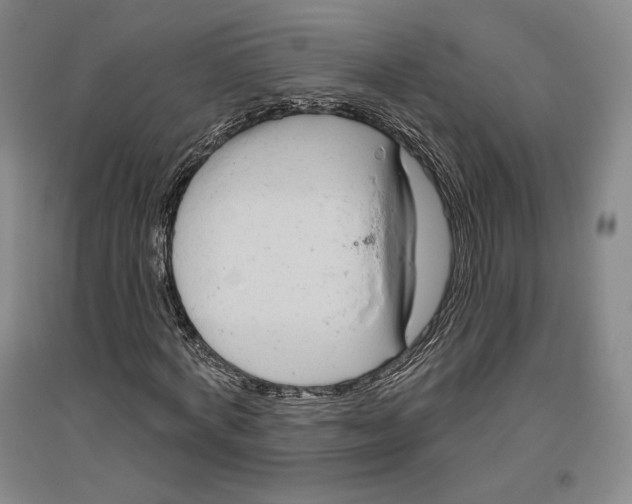 X0000096630772200802261203