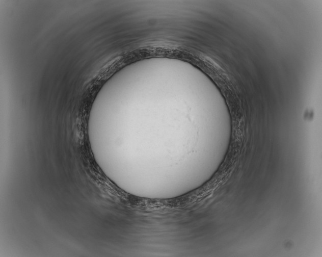 X0000096630774200802261203