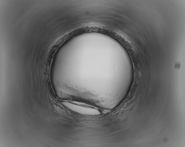 X0000096630775200802261203