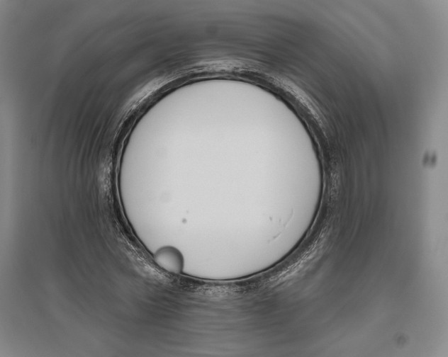 X0000096630778200802261203