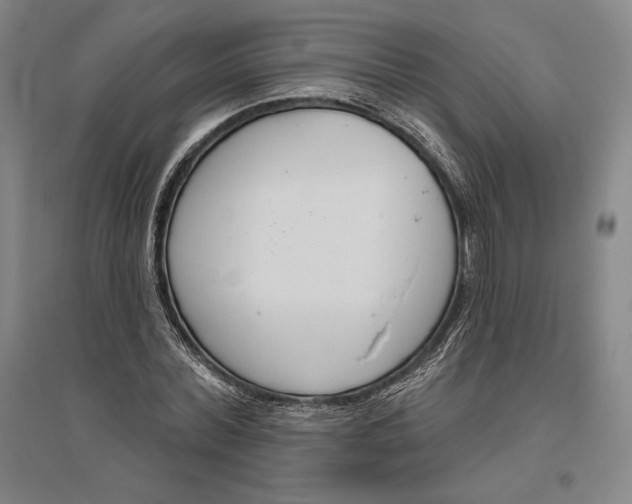 X0000096630780200802261203
