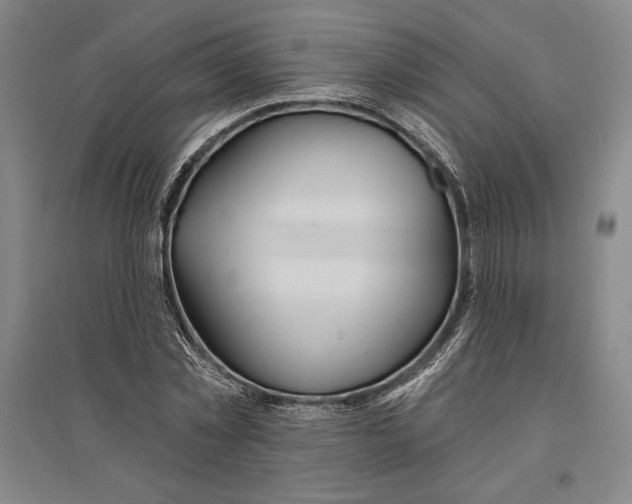X0000096630781200802261203