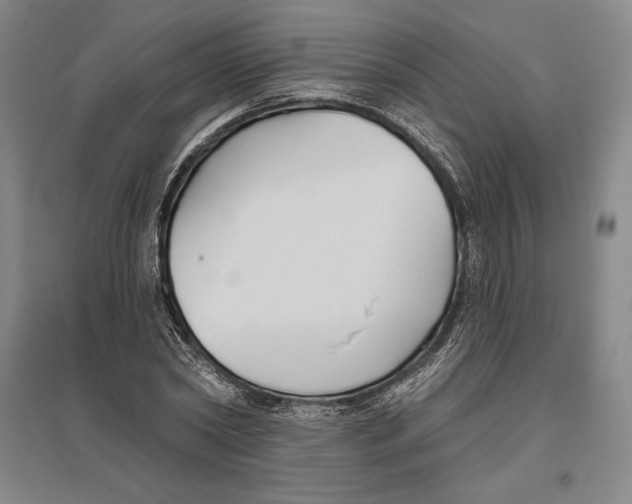 X0000096630782200802261203