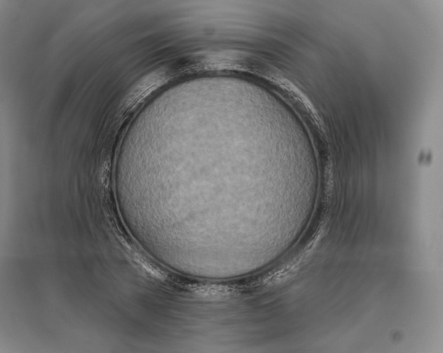X0000096630785200802261203