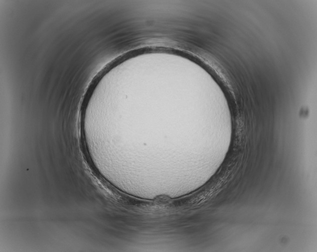 X0000096630791200802261203