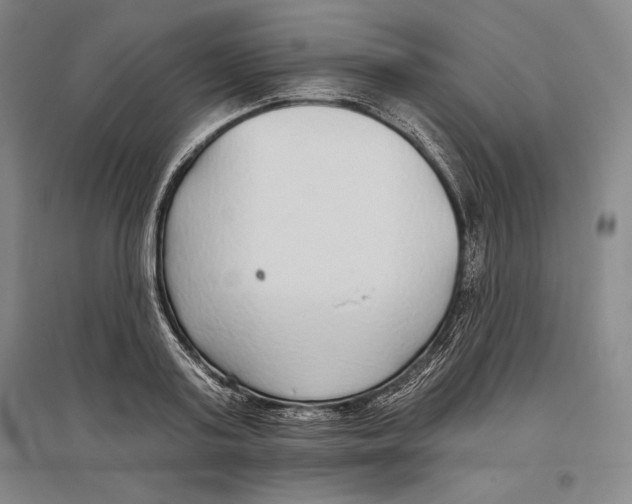 X0000096630795200802261203