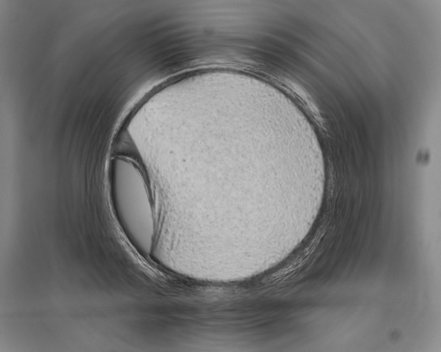 X0000096630796200802261203