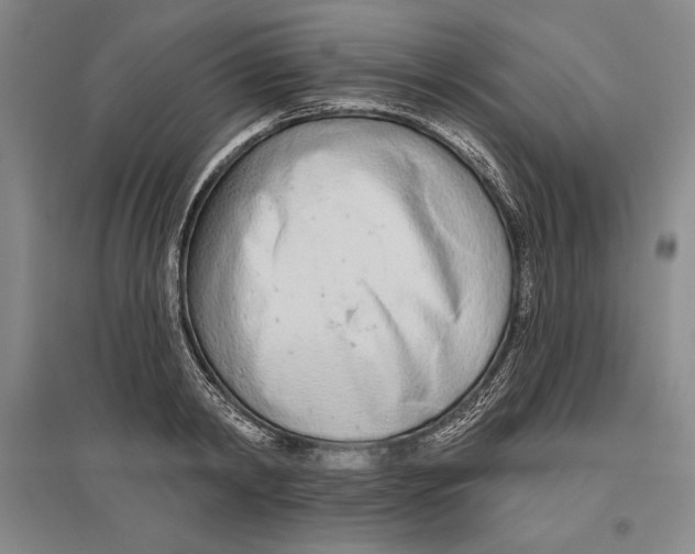 X0000096630798200802261203