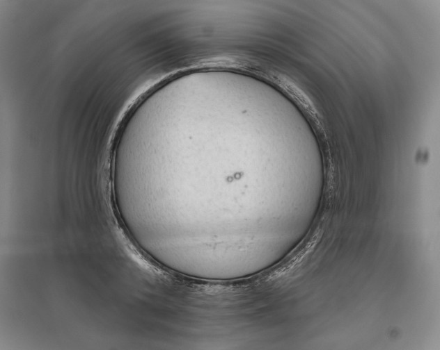 X0000096630800200802261203