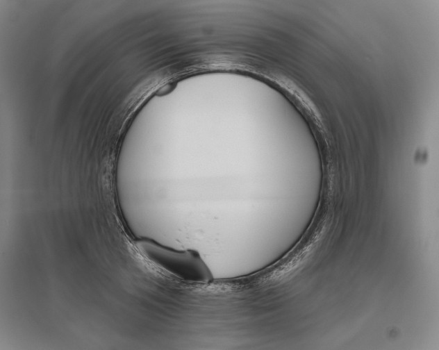 X0000096630801200802261203