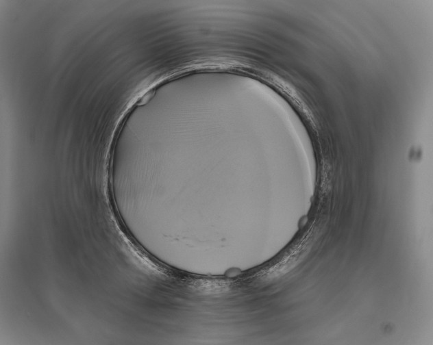 X0000096630802200802261203