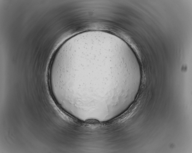 X0000096630803200802261203