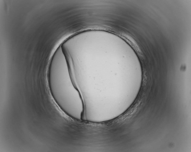 X0000096630804200802261203