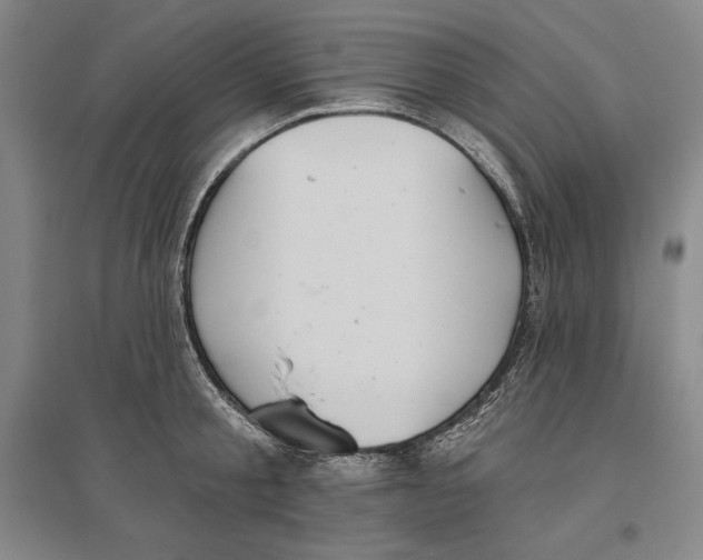 X0000096630805200802261203