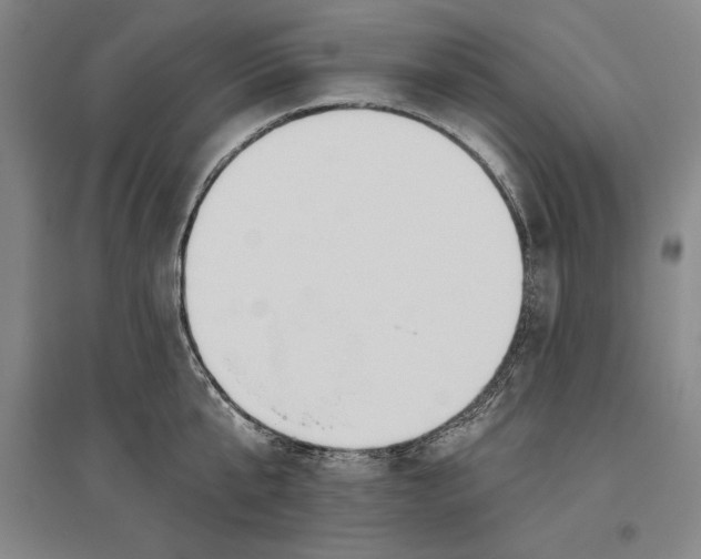 X0000096630807200802261203