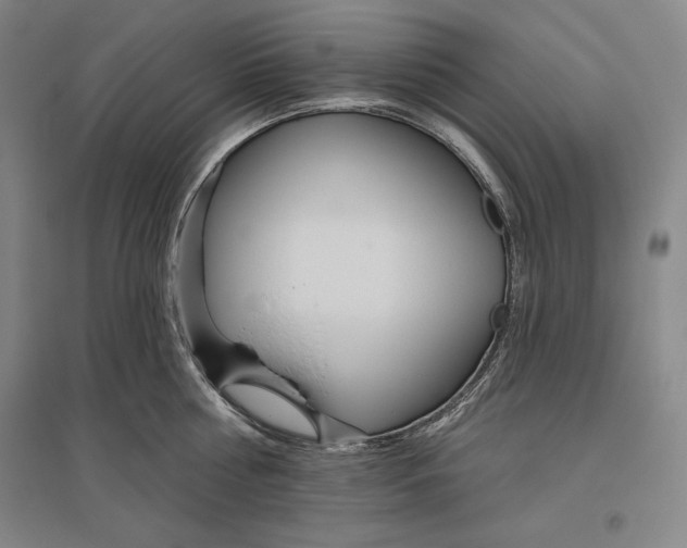 X0000096630810200802261203