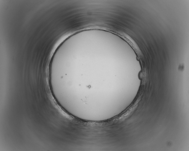 X0000096630812200802261203