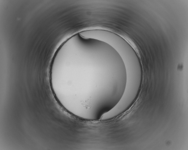 X0000096630813200802261203