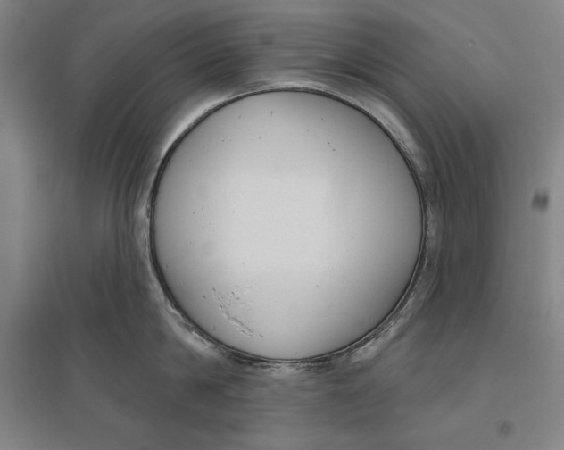 X0000096630814200802261203