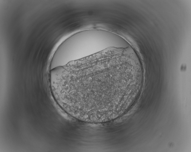 X0000096630816200802261203