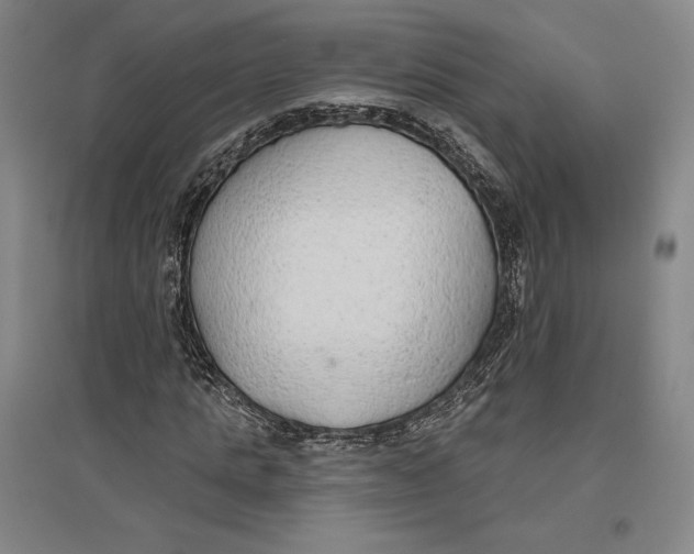 X0000096630821200802261202