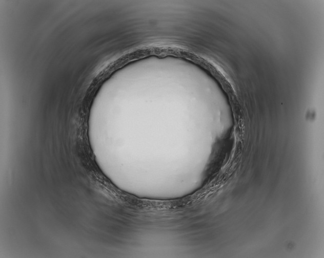 X0000096630823200802261202