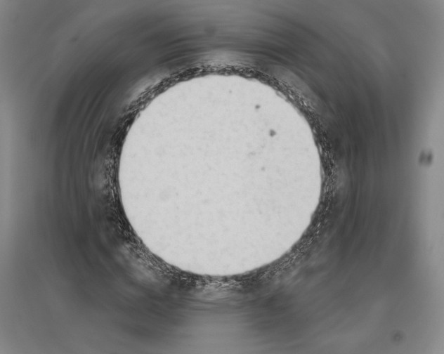 X0000096630824200802261202