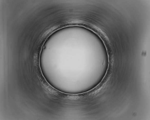 X0000096630825200802261202