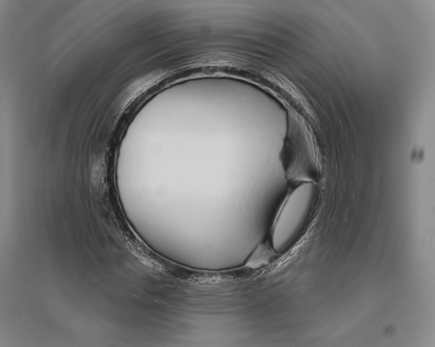 X0000096630826200802261202