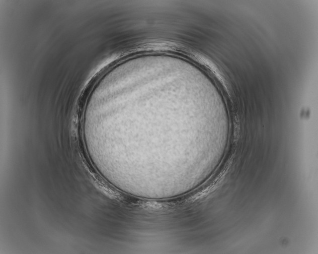 X0000096630827200802261202