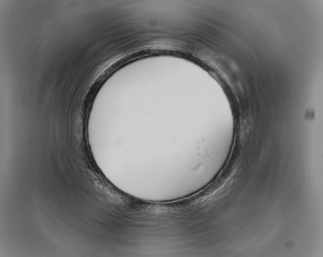 X0000096630829200802261202