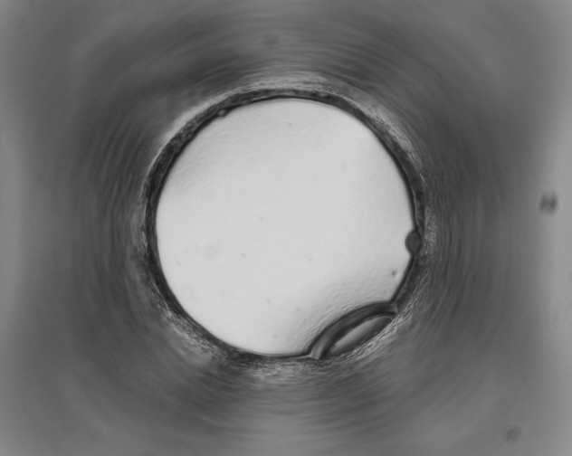 X0000096630830200802261202